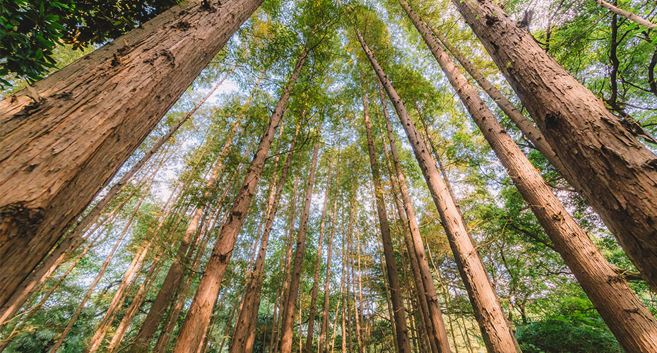 采購品質健康原材
